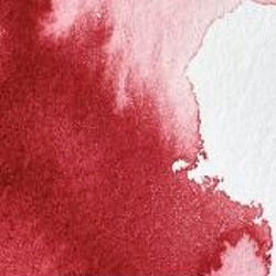 Professional Watercolour Paint By Winsor & Newton