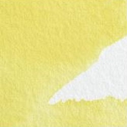 Professional Watercolour Paint By Winsor & Newton