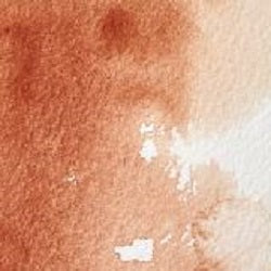 Professional Watercolour Paint By Winsor & Newton