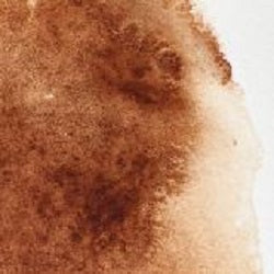 Professional Watercolour Paint By Winsor & Newton