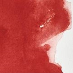 Professional Watercolour Paint By Winsor & Newton