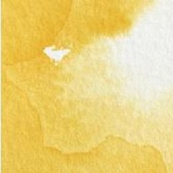 Professional Watercolour Paint By Winsor & Newton