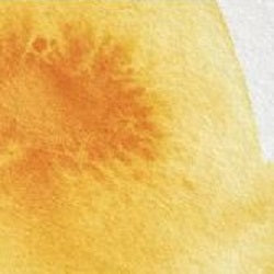 Professional Watercolour Paint By Winsor & Newton