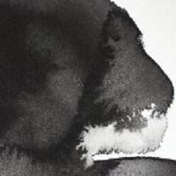 Professional Watercolour Paint By Winsor & Newton