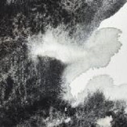 Professional Watercolour Paint By Winsor & Newton