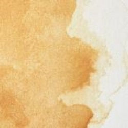 Professional Watercolour Paint By Winsor & Newton