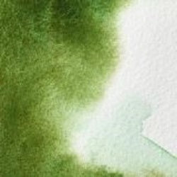 Professional Watercolour Paint By Winsor & Newton