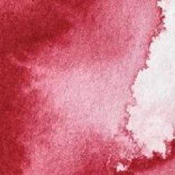 Professional Watercolour Paint By Winsor & Newton