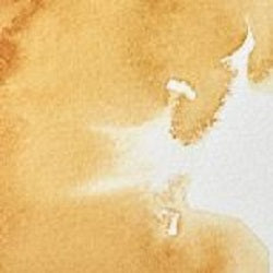 Professional Watercolour Paint By Winsor & Newton