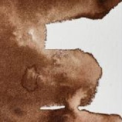 Professional Watercolour Paint By Winsor & Newton