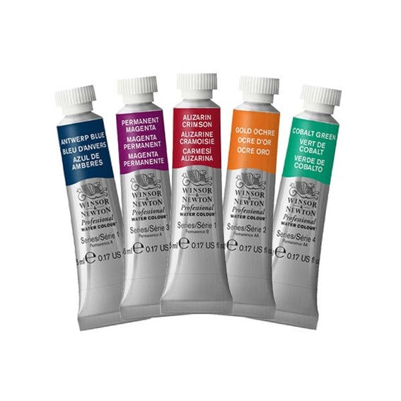 Professional Watercolour Paint By Winsor & Newton