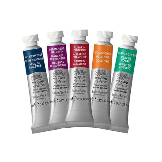 Professional Watercolour paint by Winsor & Newton
