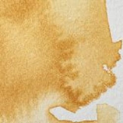 Professional Watercolour Paint By Winsor & Newton