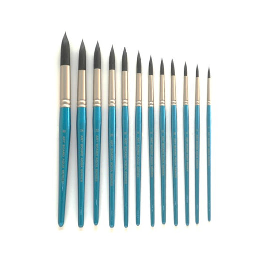 AQUA Series brushes